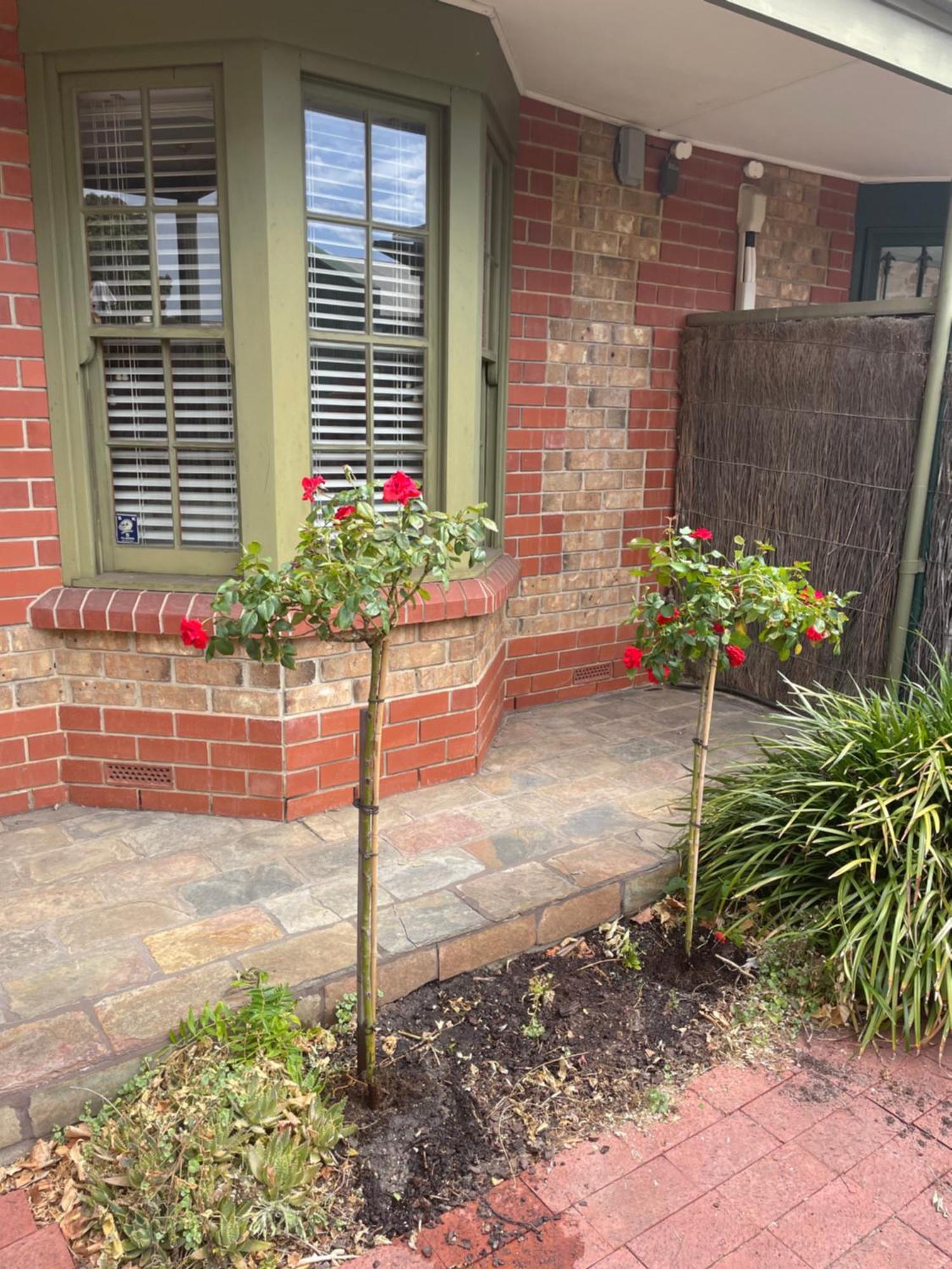 Adelaide Style Accommodation-Getaway In North Adelaide- Close To City Extérieur photo