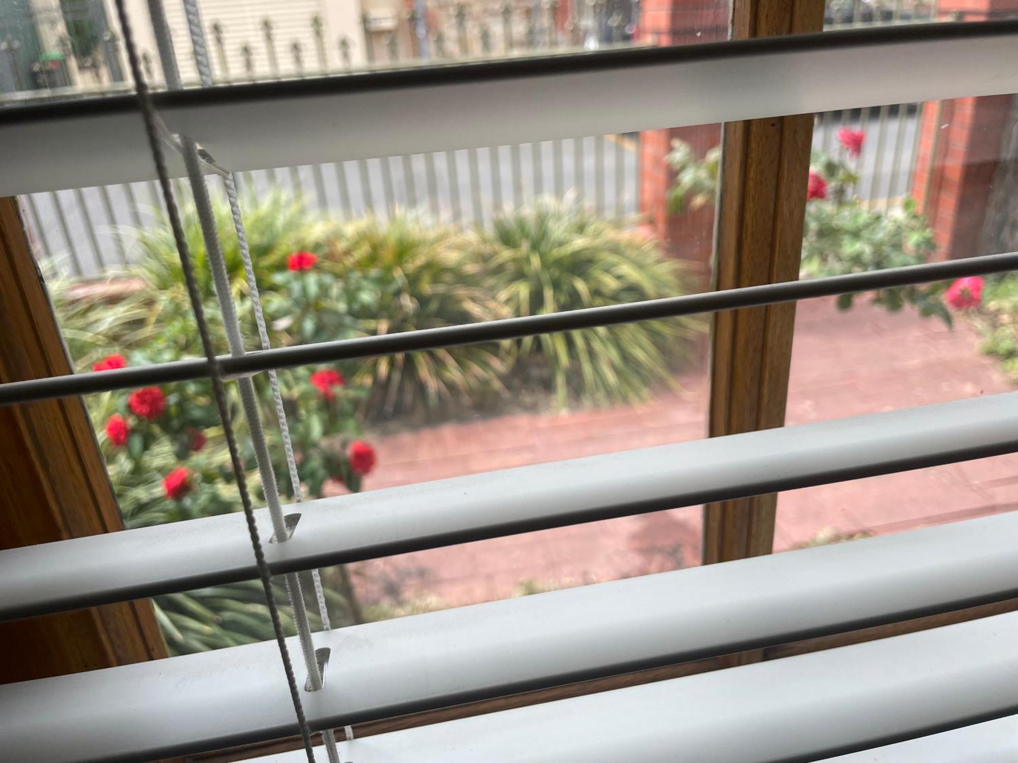 Adelaide Style Accommodation-Getaway In North Adelaide- Close To City Extérieur photo