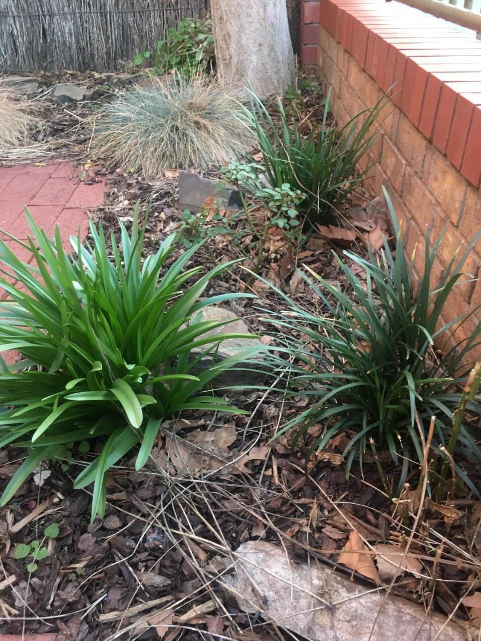 Adelaide Style Accommodation-Getaway In North Adelaide- Close To City Extérieur photo
